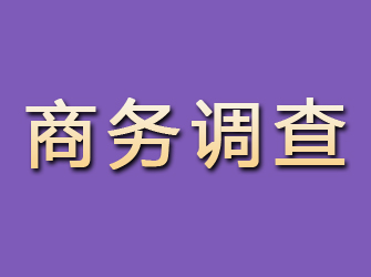 武城商务调查