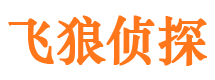 武城寻人公司